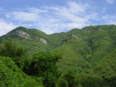 DSC01027 copy.JPG (120330 bytes)