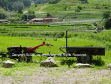 DSC01068 copy.JPG (187875 bytes)