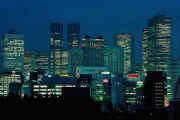 sinjuku_skyscrapers_nightview.jpg (16353 bytes)