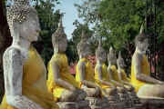row_buddahs.jpg (30668 bytes)