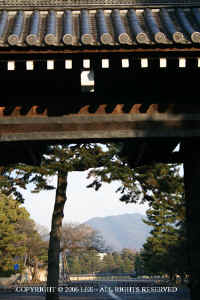 Imperial_Palace_Kyoto2.JPG (73282 bytes)