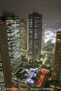 Shinjuku_skyline_night2.JPG (80421 bytes)