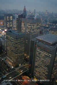 Shinjuku_skyline_night.JPG (75356 bytes)