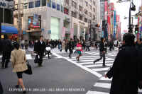 street_crossing_Tokyo.JPG (75166 bytes)